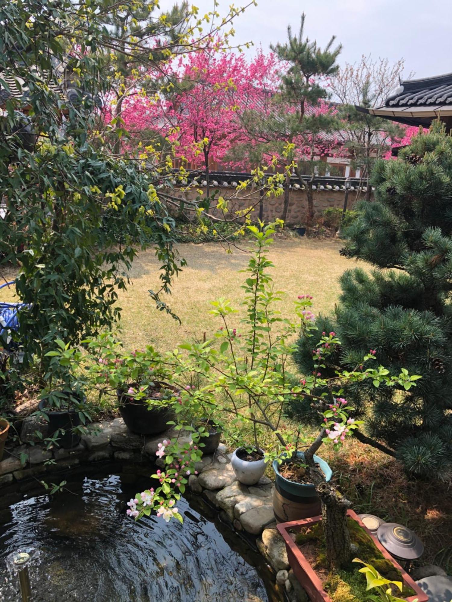 Hotel Buyongheon Jeonju Exterior foto